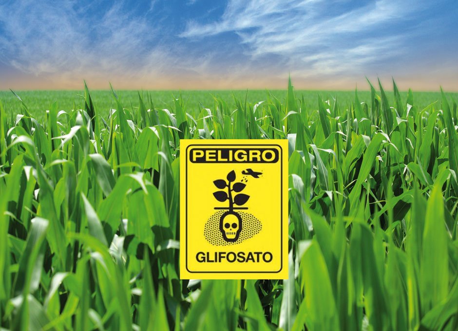 «Campaña #DuqueNoFumigue»