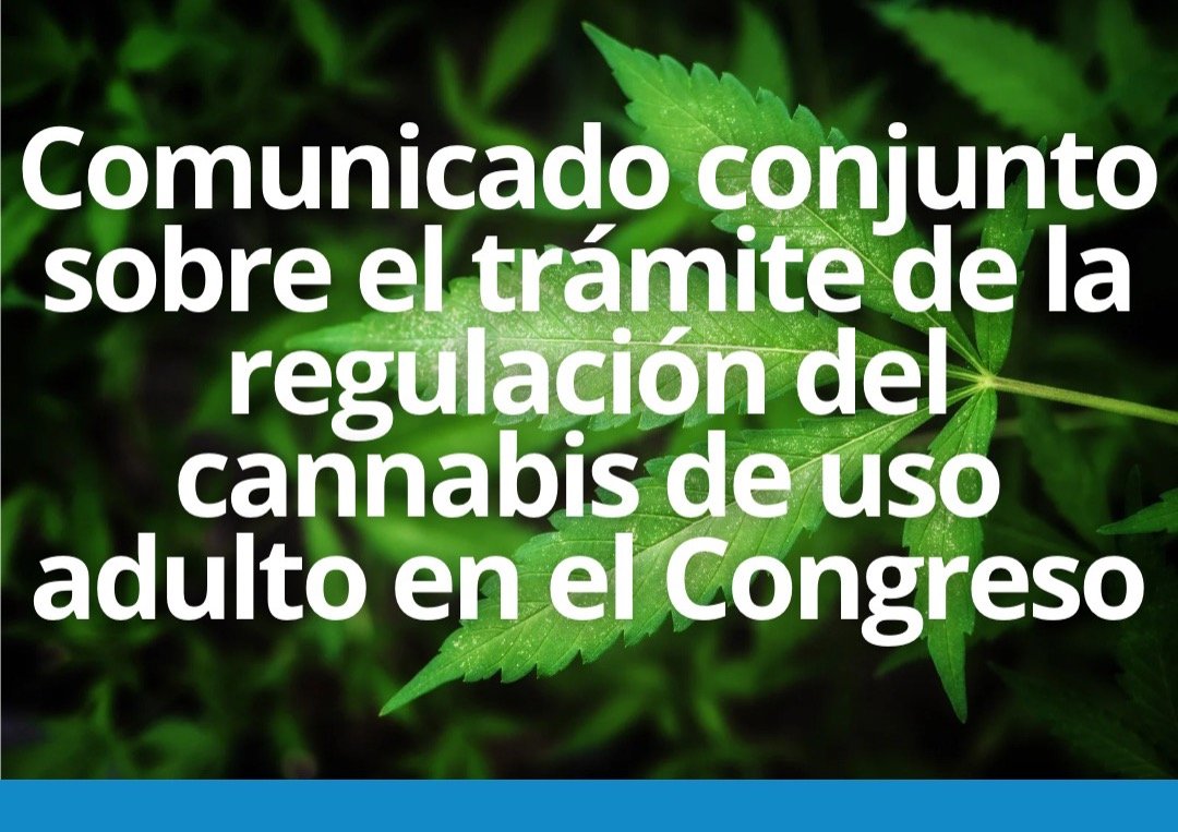 Cannabis