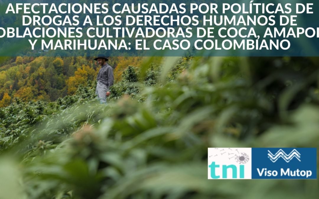 Afectaciones causadas por políticas de drogas a los derechos humanos de poblaciones cultivadoras de coca, amapola y marihuana: el caso colombiano