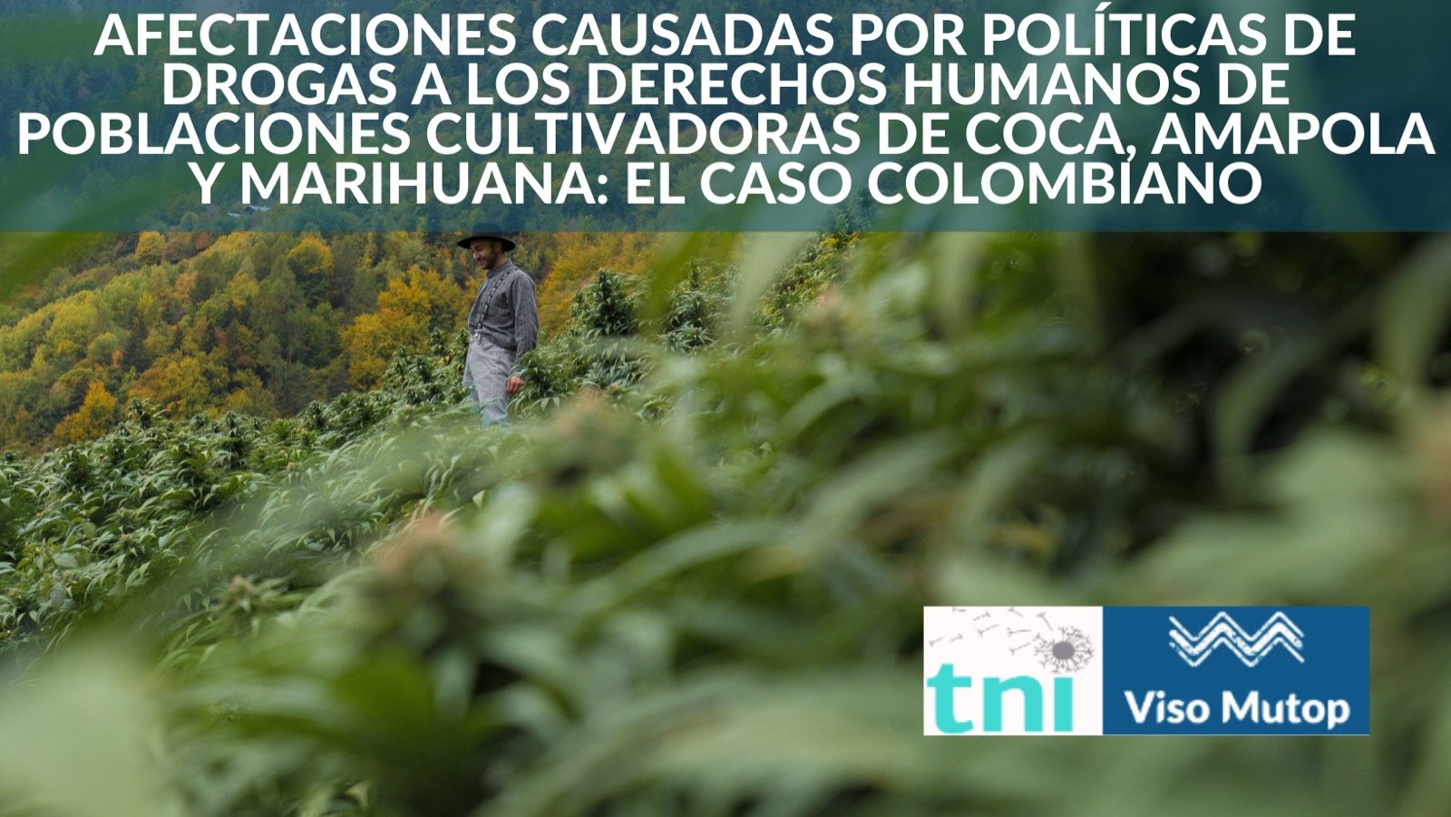 Afectaciones causadas por políticas de drogas a los derechos humanos de poblaciones cultivadoras de coca, amapola y marihuana: el caso colombiano