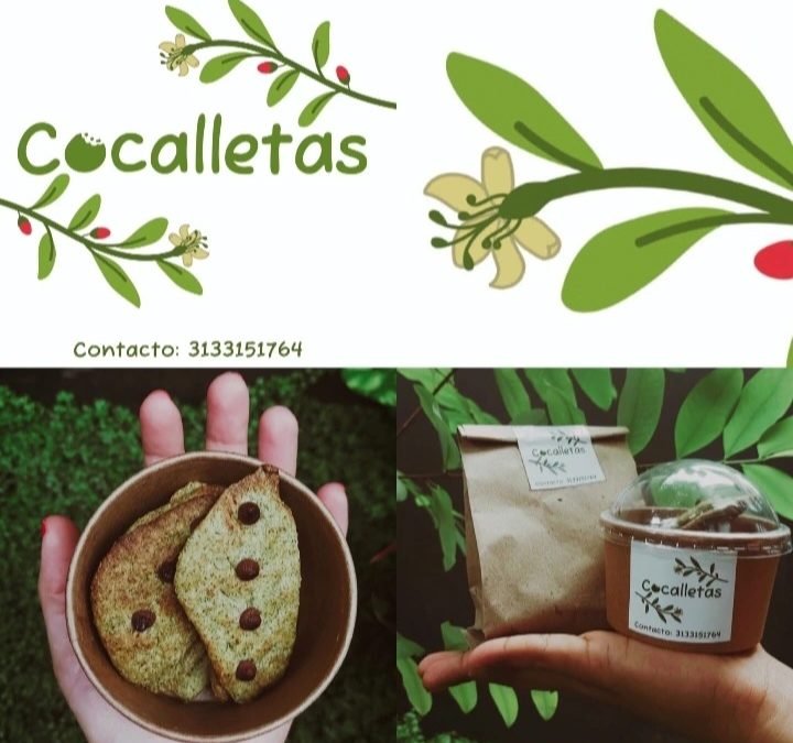 Proyecto «Cocalletas» del Guaviare para Colombia