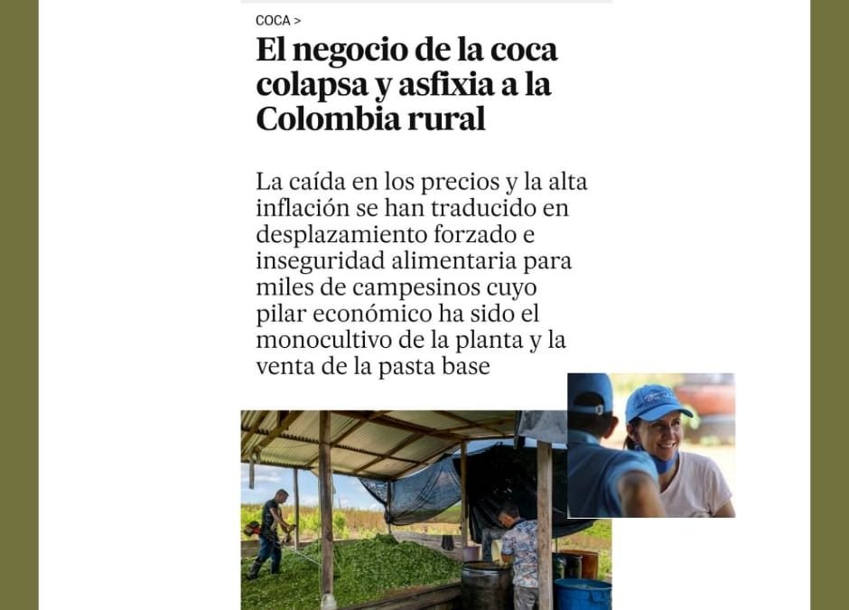 “El negocio de la coca colapsa y asfixia a la Colombia rural”