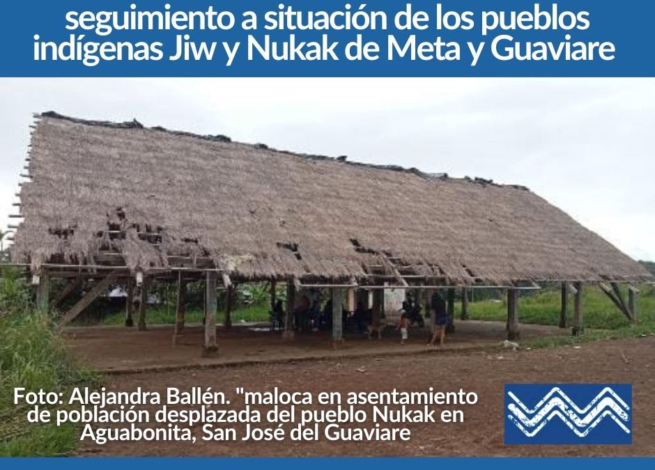 Corte Constitucional hizo audiencia de seguimiento a la situación de los pueblos indígenas Jiw y Nukak de Meta y Guaviare