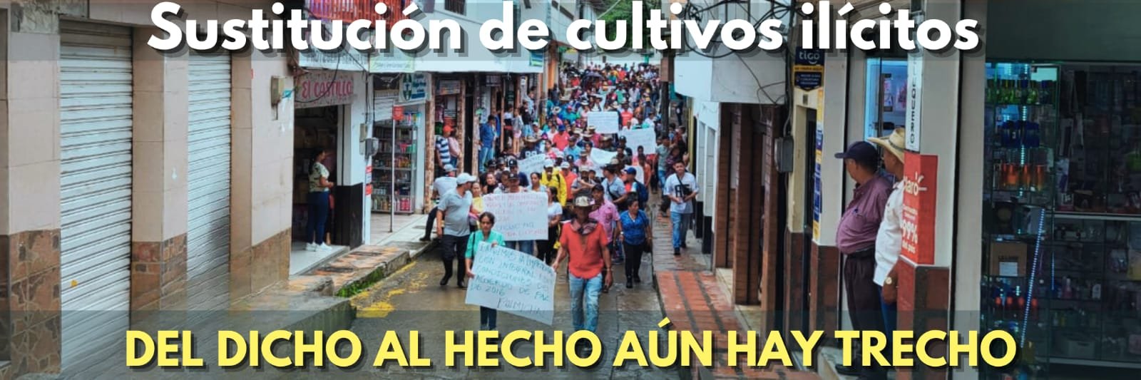Sustitución de cultivos en Colombia.